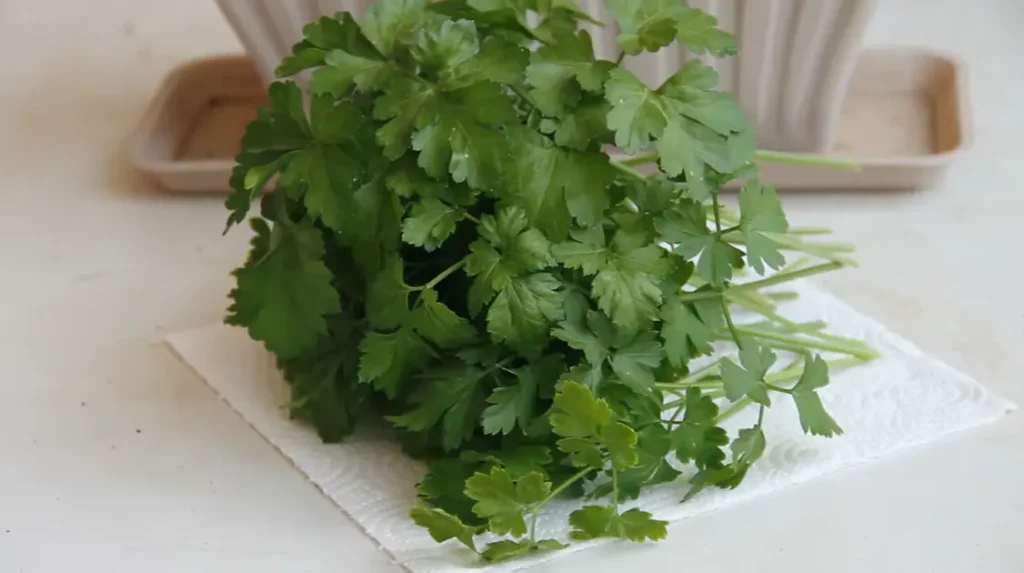 How to Grow Parsley