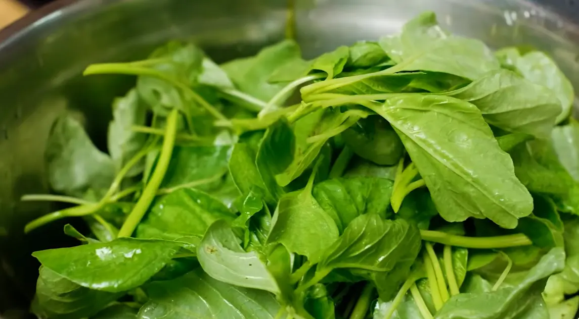 When to Grow Spinach