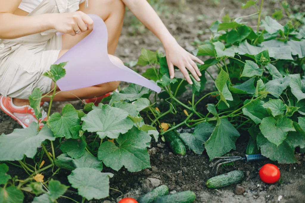Complete Gardening Guide for Beginners