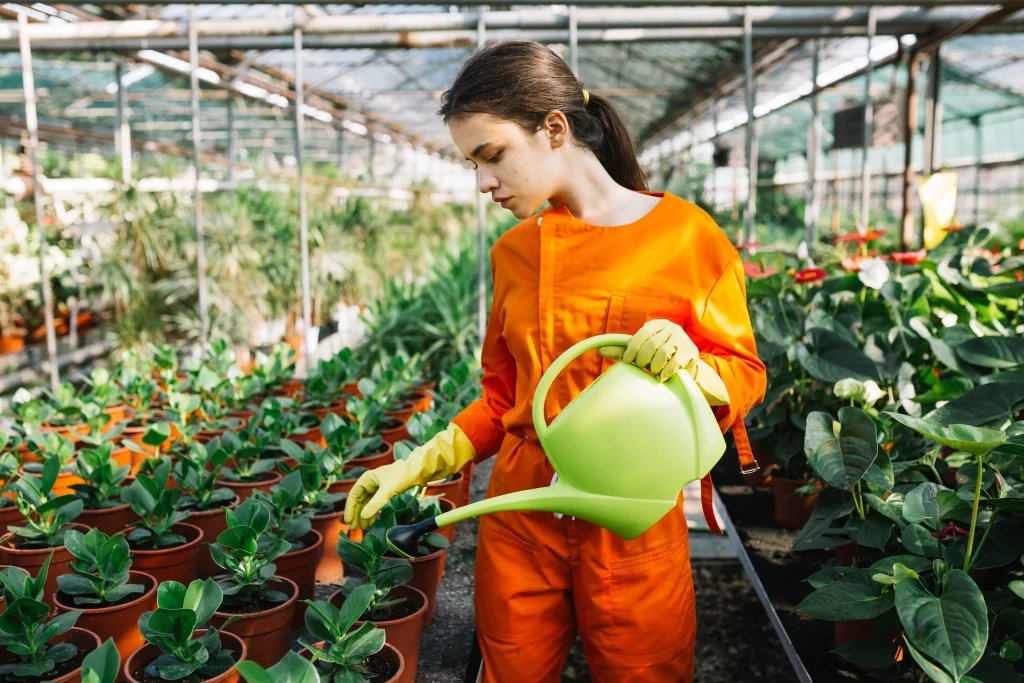 Complete Gardening Guide for Beginners