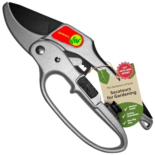 Cesoie a incudine, forbici con meccanismo a cricchetto, realizzate per mani deboli, abbastanza resistenti per qualsiasi tipo di potatura, accessorio da giardino, ottimo regalo per gli amanti del giardinaggio.