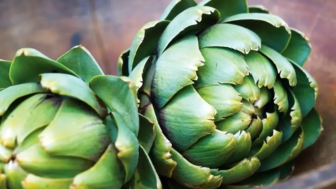 Green Globe Artichoke Seeds