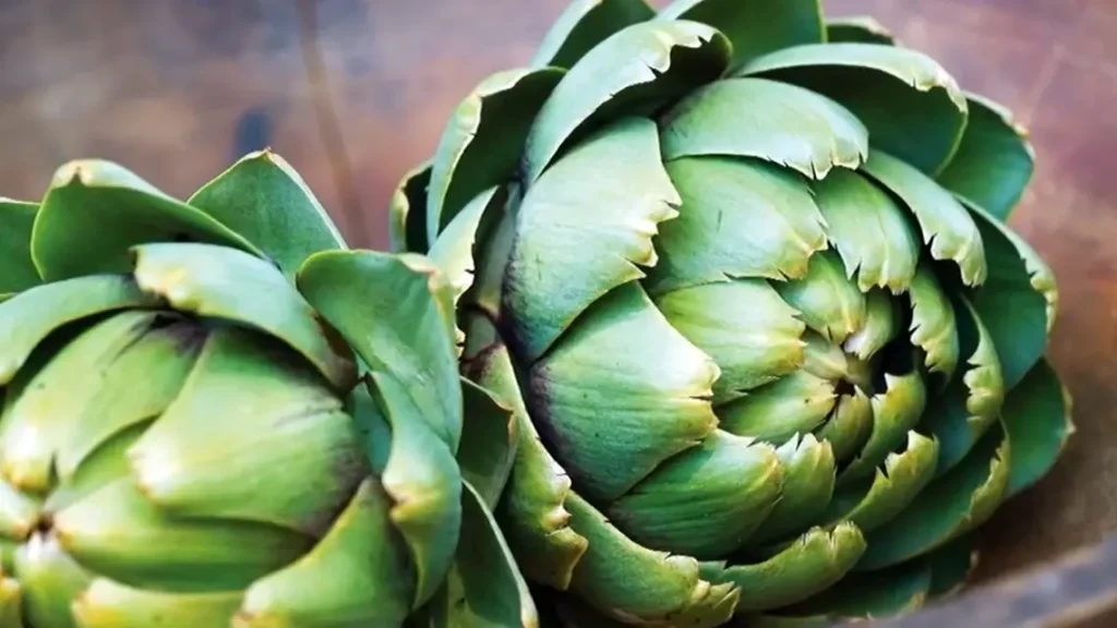 Types of Artichoke Plants