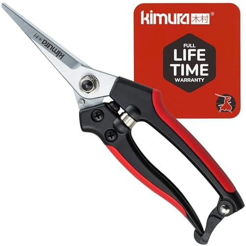Kimura® 8