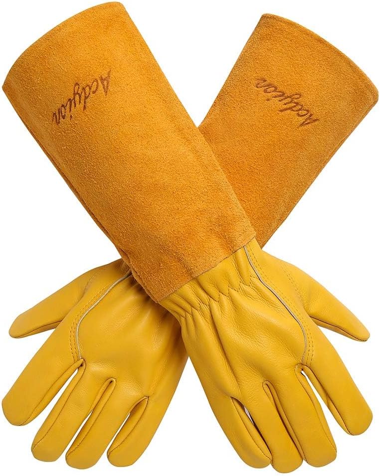 Best Long Garden Gloves for Women (Top Picks)