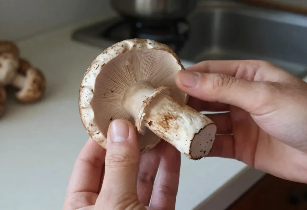 When Does Mushrooms Go Bad inside fridge storage with spoiled mushrooms