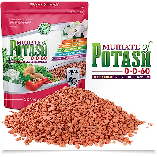 Muriate of Potash 0-0-60 Fertilizer Made in USA - MOP Potassium Plant Food for Indoor/Outdoor Plants, Flower Gardens, Fruit and Vegetable Gardens, Holistic Herbs, Trees and Green Lawns!