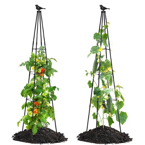 FOLLOOK Cucumber Trellis, 67