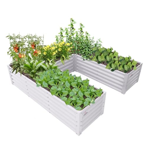 A ANLEOLIFE U-Shaped Outdoor Galvanized Raised Garden Bed, 6x6x1.5ft, Center-Access Bottomless Planter Box, 22-Gauge Corrugated Metal, Reinforced Bracing Rods, Antique White
