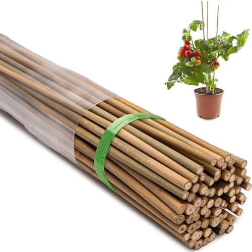 Taoskai 70 Pcs Bamboo Stakes, 4 Feet Natural Bamboo Garden Stakes for Plant, Garden Bamboo Plant Sticks for Plants Support, Tomato, Beans, Vegetable, Trees and Climbing Plants